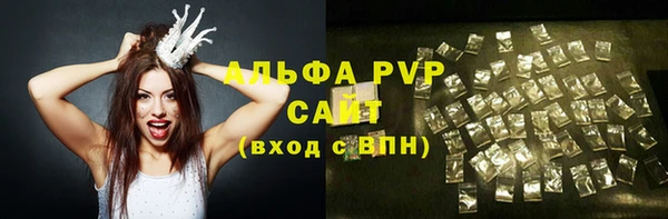 сатива Вяземский