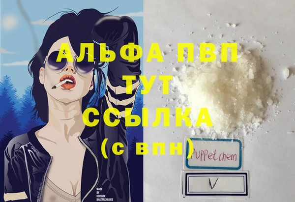 сатива Вяземский