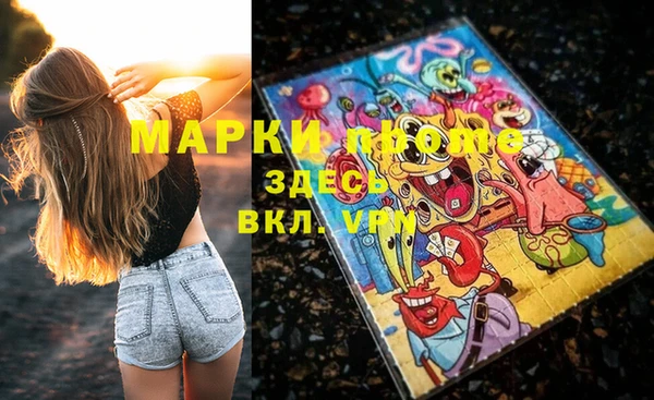 сатива Вяземский
