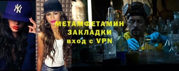 сатива Вяземский
