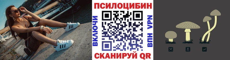 Галлюциногенные грибы Psilocybe  Златоуст 